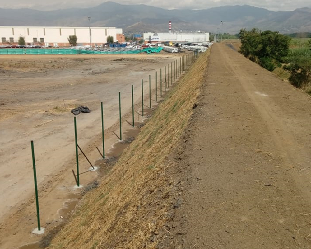 ZONAFRANCA-4