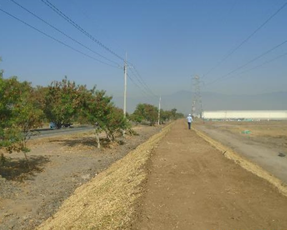 ZONAFRANCA-5
