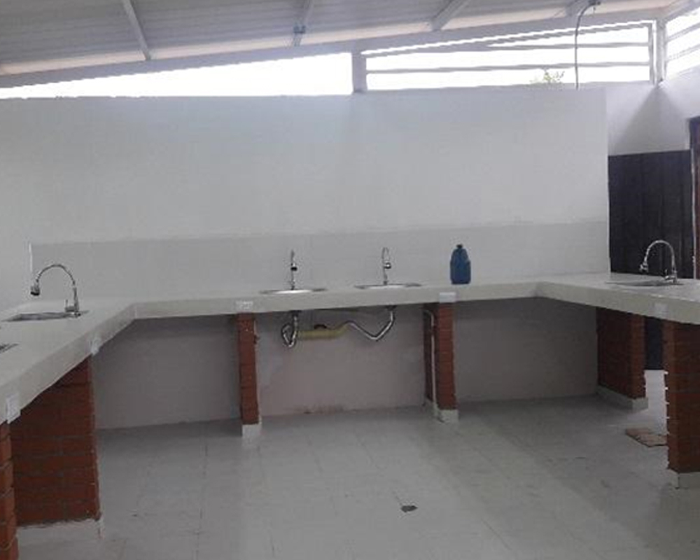 Escolares-6
