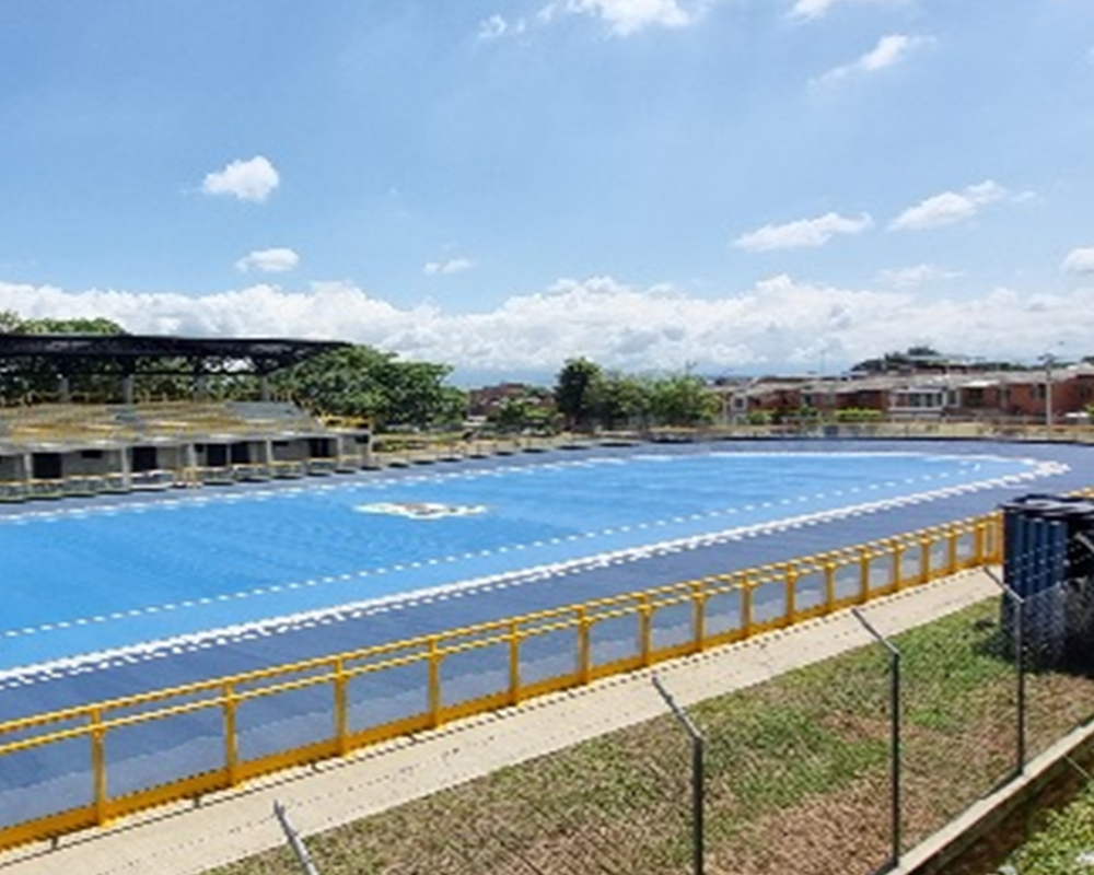 IN-1